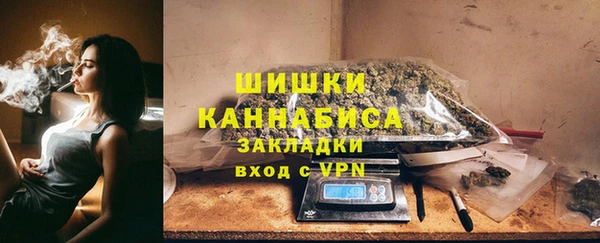 spice Инта