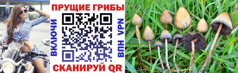 где купить наркотик  Фёдоровский  kraken ONION  Псилоцибиновые грибы Magic Shrooms 